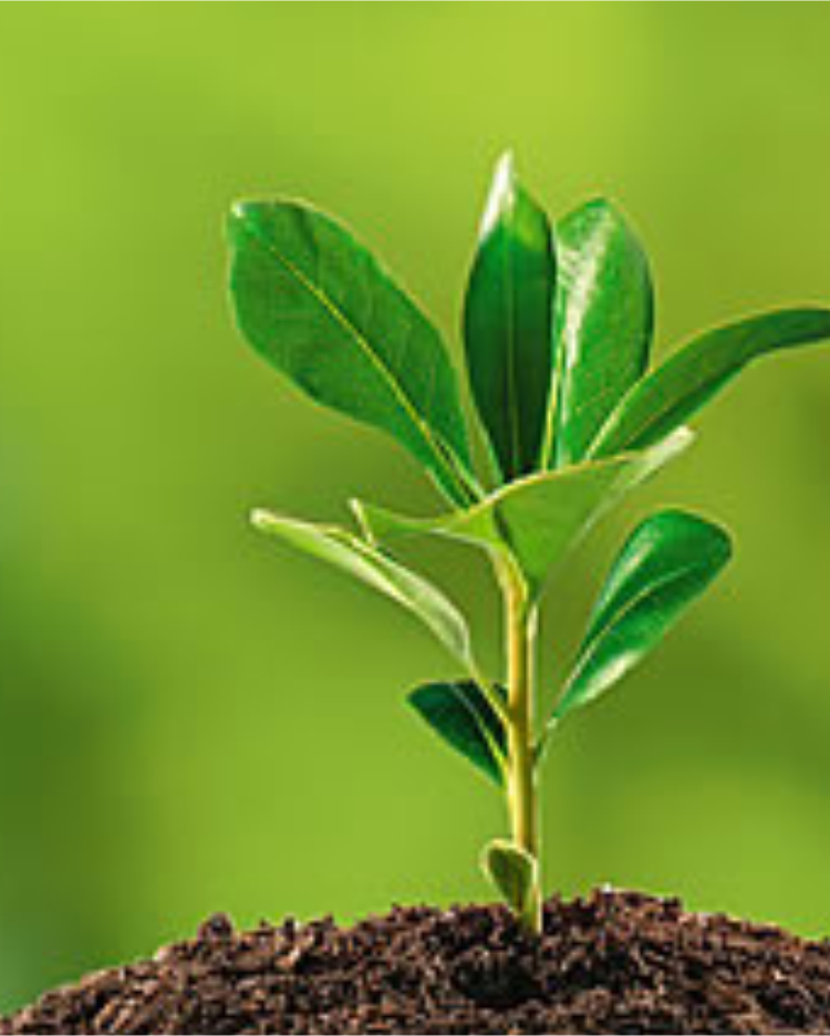 ENVIRONMENTAL COMPLIANCE & MANAGEMENT